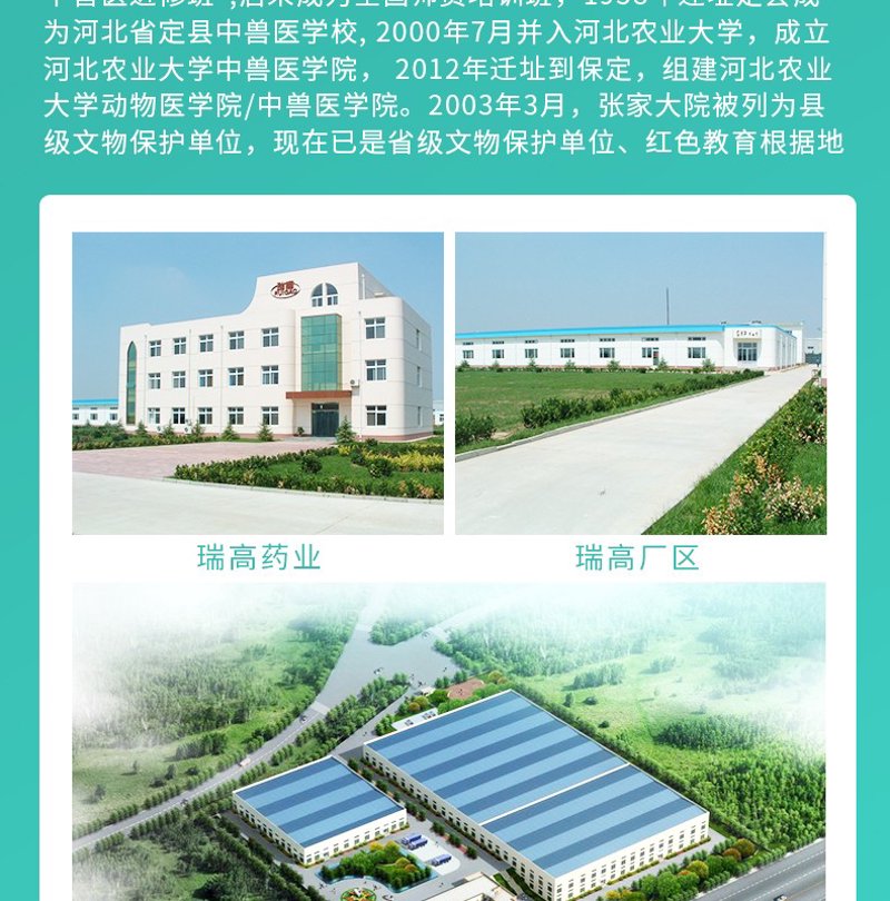 保定大米市场最新动态:批发新趋势