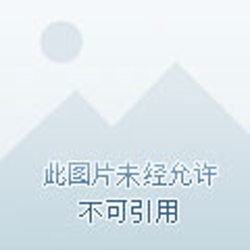 粮油供应市场的风云变幻